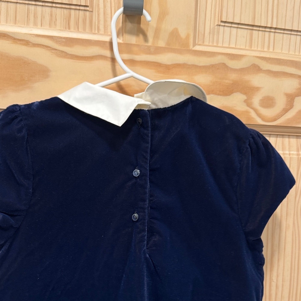 Janie and jack velvet shift Navy Dress with Collar - Picture 6 of 9